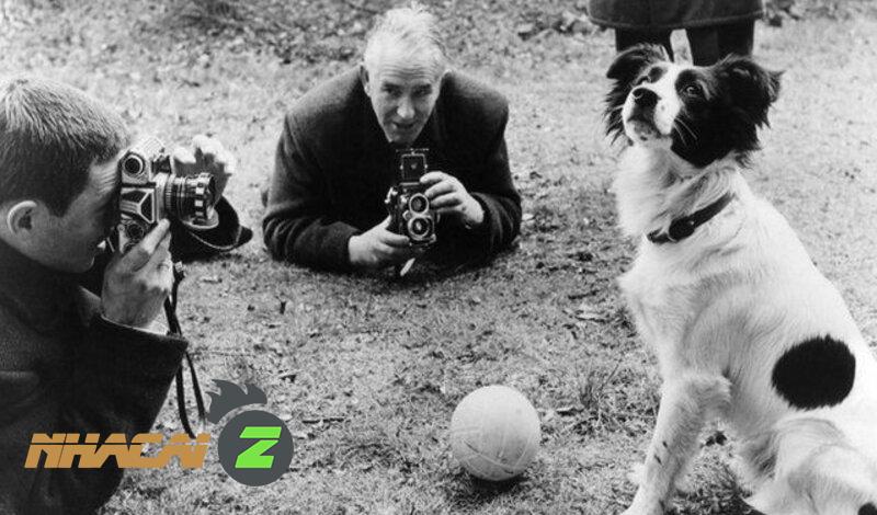Pickles - chú chó cứu thể diện nước Anh ở World Cup 1966